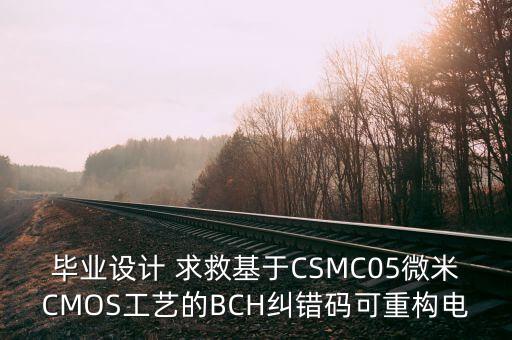 CSMC，畢業(yè)設(shè)計(jì) 求救基于CSMC05微米CMOS工藝的BCH糾錯(cuò)碼可重構(gòu)電