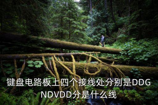 鍵盤電路板上四個接線處分別是DDGNDVDD分是什么線