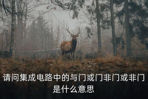 請(qǐng)問(wèn)集成電路中的與門(mén)或門(mén)非門(mén)或非門(mén)是什么意思