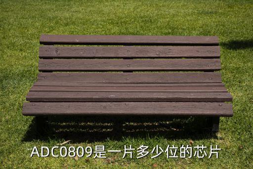 adc0809，ADC0809是一片多少位的芯片