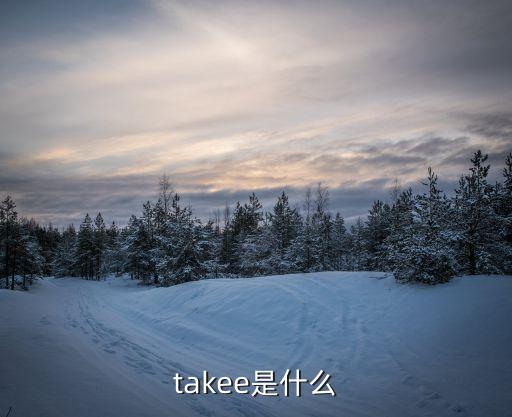 takee，takee是什么