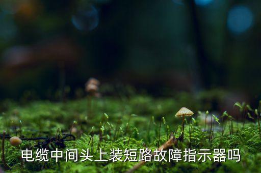 電纜故障指示器，接地型電纜故障指示器終端為什么用光纖接口原理
