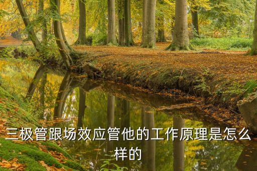 三極管跟場(chǎng)效應(yīng)管他的工作原理是怎么樣的