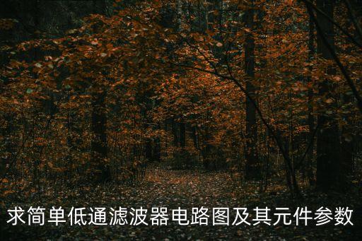 求簡(jiǎn)單低通濾波器電路圖及其元件參數(shù)