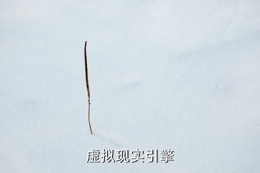 虛擬現(xiàn)實引擎