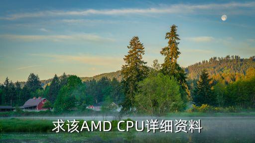 求該AMD CPU詳細(xì)資料