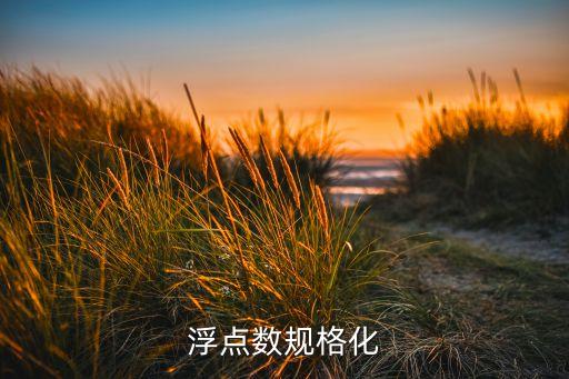 浮點(diǎn)數(shù)規(guī)格化