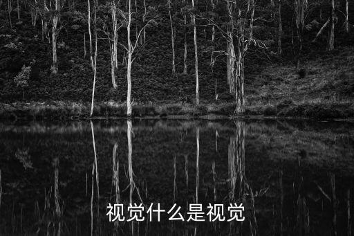 視覺什么是視覺