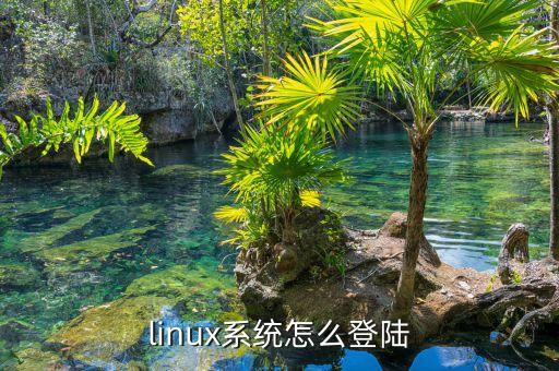 linux系統(tǒng)怎么登陸
