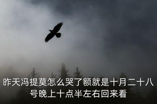 昨天馮提莫怎么哭了額就是十月二十八號晚上十點半左右回來看
