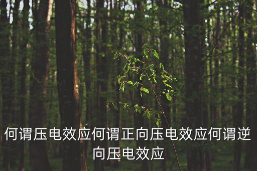 逆壓電效應(yīng)，什么叫逆壓電效應(yīng)