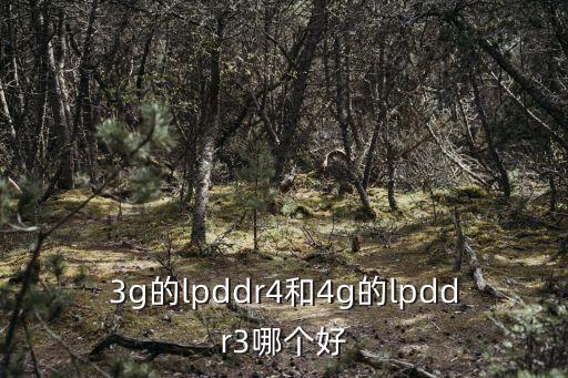 3g的lpddr4和4g的lpddr3哪個好