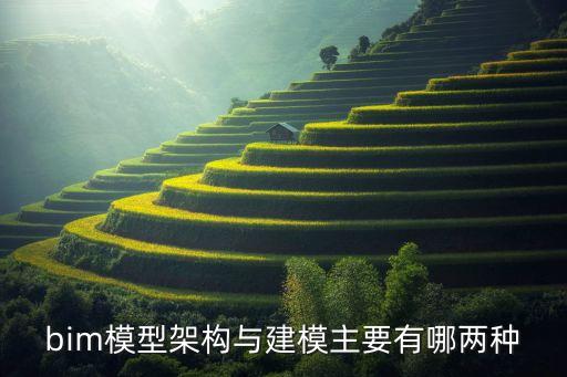bim模型架構(gòu)與建模主要有哪兩種