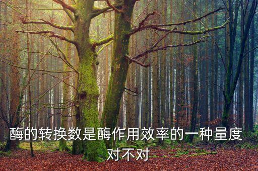 酶的轉(zhuǎn)換數(shù)是酶作用效率的一種量度 對(duì)不對(duì)