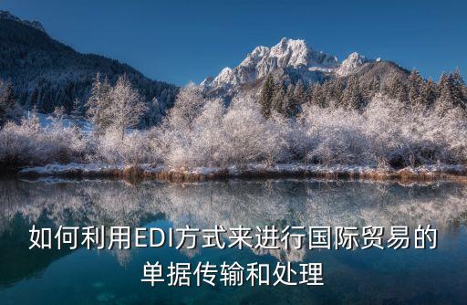 如何利用EDI方式來進行國際貿(mào)易的單據(jù)傳輸和處理