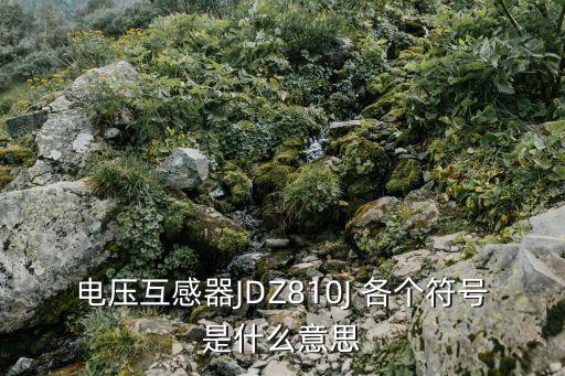 電壓互感器符號，電壓互感器JDZ810J 各個符號是什么意思