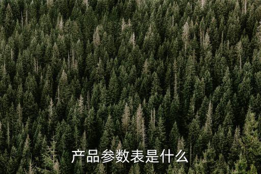產(chǎn)品參數(shù)表是什么