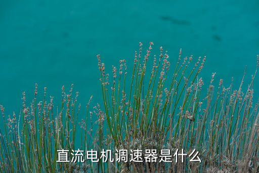 直流電機(jī)調(diào)速器是什么