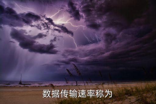 數(shù)據(jù)傳輸速率稱為
