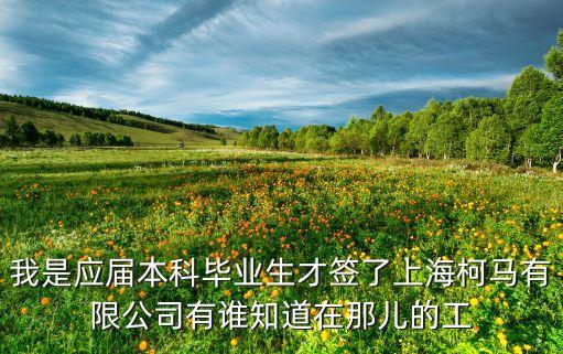 柯馬，柯馬是世界五百?gòu)?qiáng)嗎