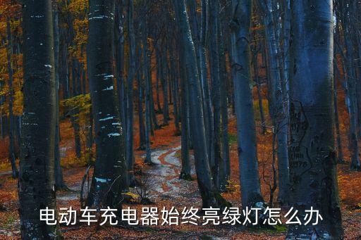 電瓶車充不進(jìn)電亮綠燈，電動(dòng)車充電時(shí)燈總是亮著綠燈充不到電是什么原因
