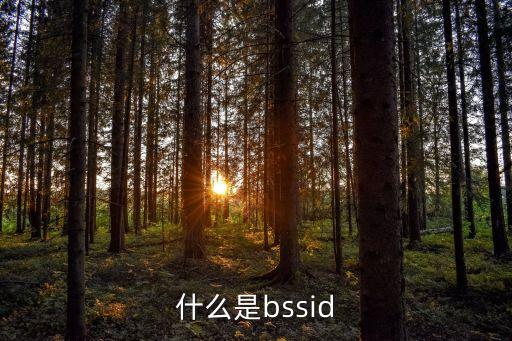 BSSID，什么是bssid