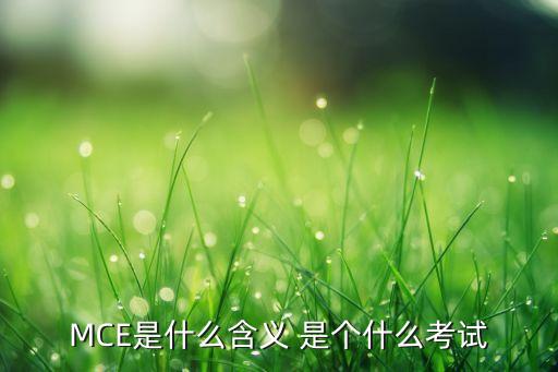 mce是什么意思，MCE是什么含義 是個什么考試