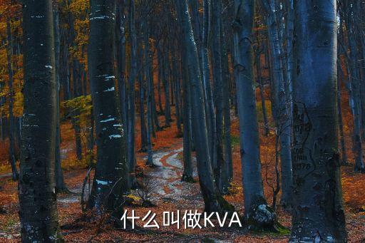 視在功率的單位，什么叫做KVA