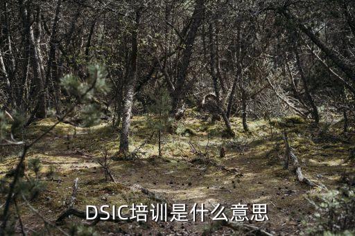 DSIC培訓(xùn)是什么意思