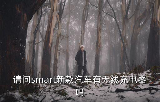 請問smart新款汽車有無線充電器嗎