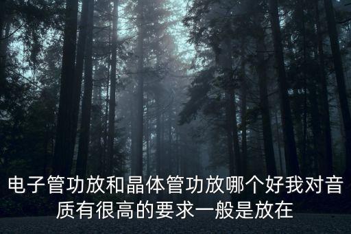 電子管功放和晶體管功放哪個(gè)好我對(duì)音質(zhì)有很高的要求一般是放在