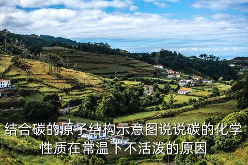 結(jié)合碳的原子結(jié)構(gòu)示意圖說說碳的化學性質(zhì)在常溫下不活潑的原因