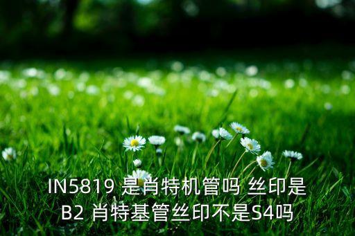 in5819，IN5819與LLSD103A之間的區(qū)別