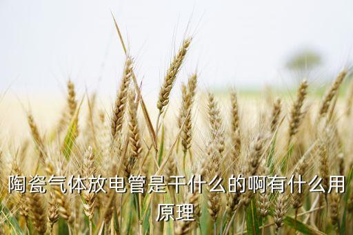 陶瓷氣體放電管，陶瓷氣體放電管有哪些特點(diǎn)