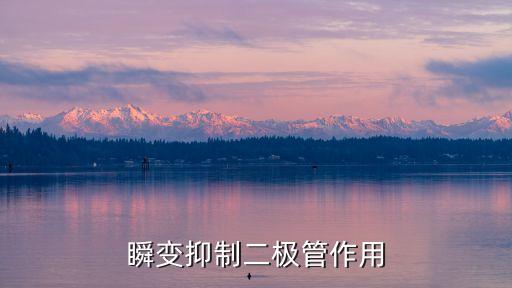 瞬變抑制二極管作用