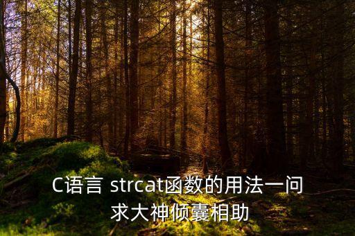 strcat函數(shù)用法，strcat函數(shù)到底怎么用為什么不能執(zhí)行編譯時沒有錯誤