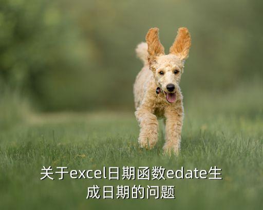 關于excel日期函數(shù)edate生成日期的問題