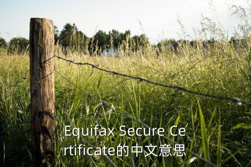 Equifax Secure Certificate的中文意思