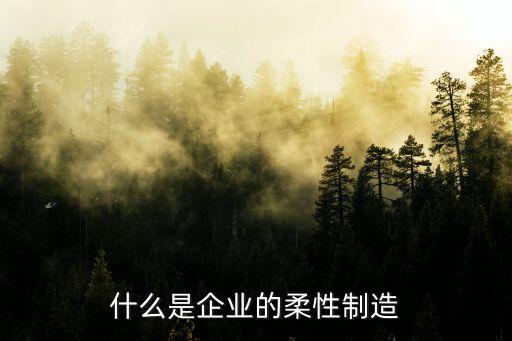 什么是企業(yè)的柔性制造