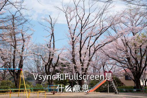 Vsync和Fullscreen是什么意思