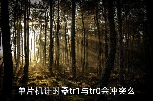 單片機(jī)計(jì)時(shí)器tr1與tr0會(huì)沖突么