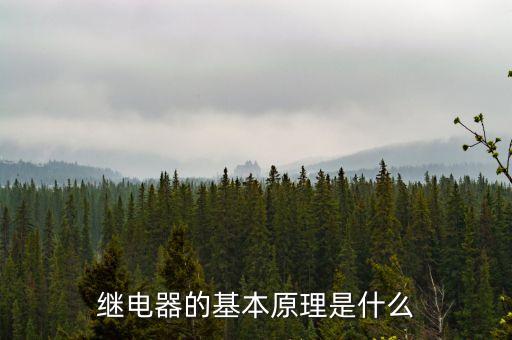 繼電器的工作原理，繼電器的工作原理求師傅的幫助