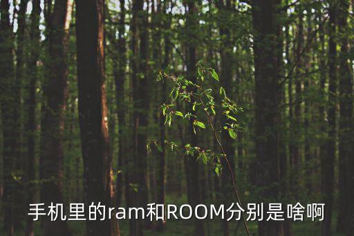 手機(jī)里的ram和ROOM分別是啥啊