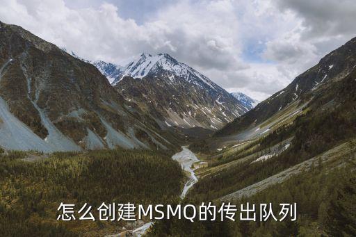 MSMQ，我的是XP系統(tǒng)的注冊表里竟然沒有MSMQ這個選項我要修改游戲
