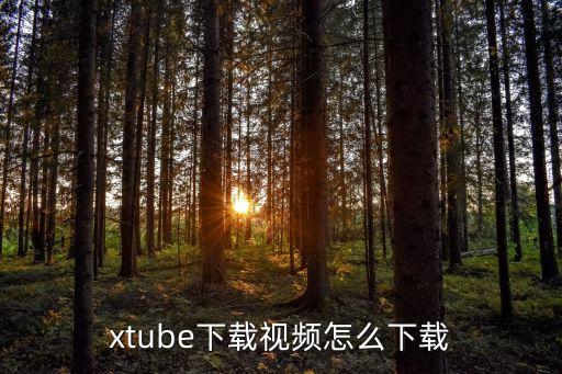 xtube下載視頻怎么下載