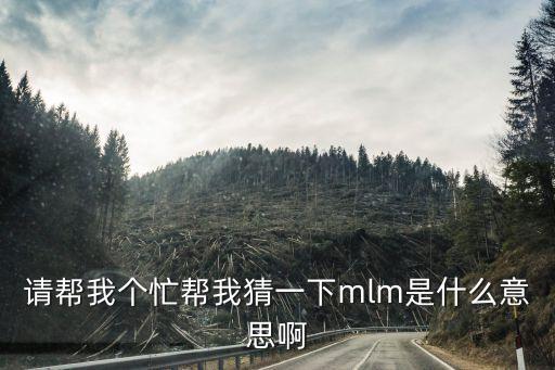 請(qǐng)幫我個(gè)忙幫我猜一下mlm是什么意思啊