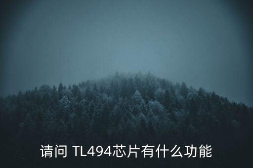 tl494，請問 TL494芯片有什么功能