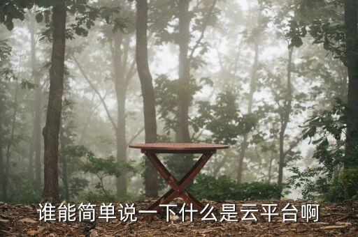 誰(shuí)能簡(jiǎn)單說(shuō)一下什么是云平臺(tái)啊