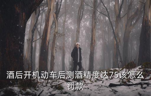 酒后開(kāi)機(jī)動(dòng)車后測(cè)酒精度達(dá)75該怎么罰款