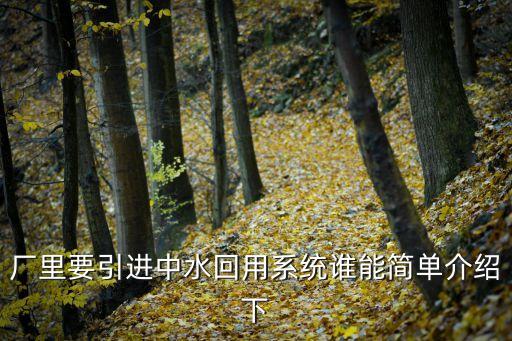 廠里要引進中水回用系統(tǒng)誰能簡單介紹下